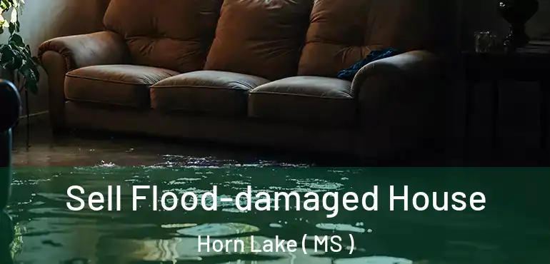  Sell Flood-damaged House Horn Lake ( MS )